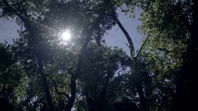the-east-area-rapist-strikes-again - The Golden State Killer: It's Not Over