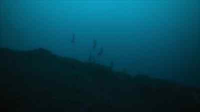The eggs must be laid in the shallows. - Prehistoric Planet