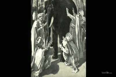 The elephant in this case is
the toroidal energy dynamic - Thrive II: This Is What It Takes