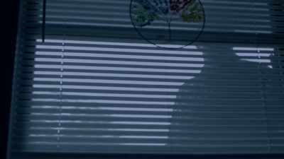 The employee walked around the residence and found - The Killer Truth