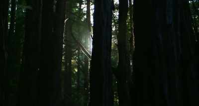The environment is
what was selecting - Heal