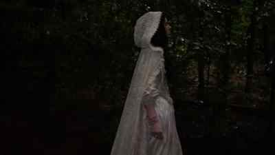 The Essex tree is deep and wide, - Salem