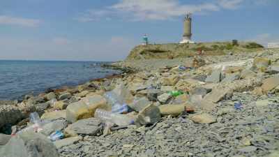 The European Commission did--
they did a study, - Plastic Earth