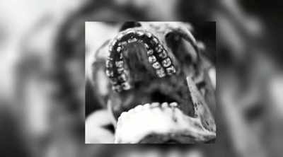 The evidence for this
is in petroglyphs, - Alien Worlds: Giants and Hybrids