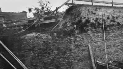 The excavation began
on June 13th, 1904. - Raiders of the Lost Past with Janina Ramirez