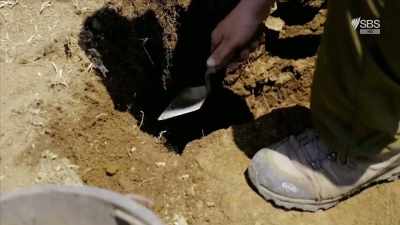 The excavations show that - Curse of the Ancients with Alice Roberts