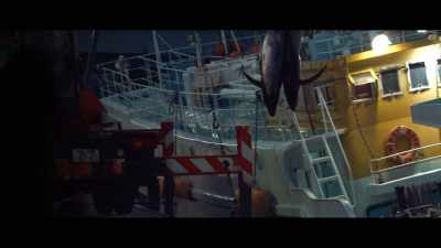 The excuse of killing dolphins - Seaspiracy