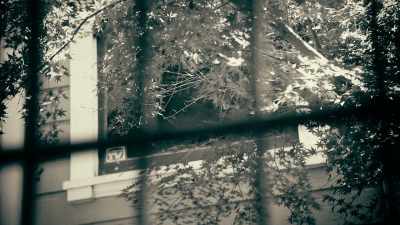 The explanation
from a mental health perspective - 35 Serial Killers the World Wants to Forget
