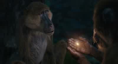The eye never forgets what the heart has seen - Mufasa: The Lion King