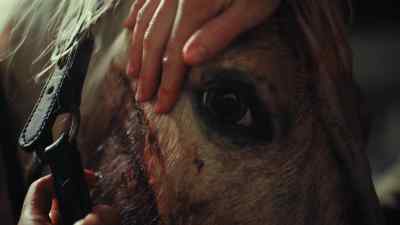 The eyes look fine. We have a few cuts, - Teacup