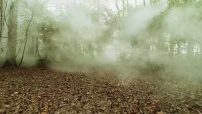 The FAA's Jack Barker
says the thick woods - If I Leave Here Tomorrow: A Film About Lynyrd Skynyrd