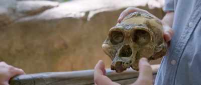 ... so the face is tilted forward. - Is Genesis History?