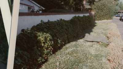 The fact that she
was placed in the yard - The Hillside Strangler