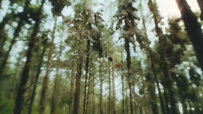 'The fact that something so small,
so delicate - A Year on Planet Earth