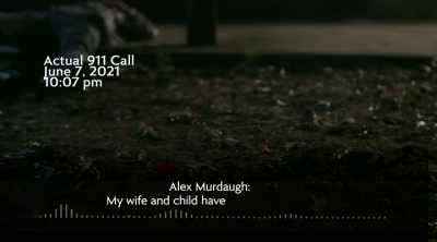 The fall from grace for
Alex Murdaugh has been substantial. - Murdaugh Murders: Deadly Dynasty