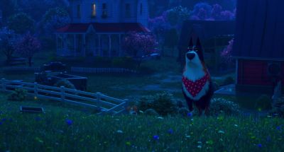 The farm or you or - The Secret Life of Pets 2