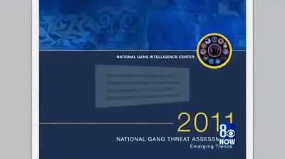 The FBI has classified - The United States of Insanity