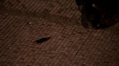 The FBI is on the way. - White Collar