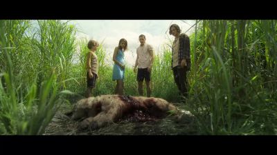 The field - In the Tall Grass