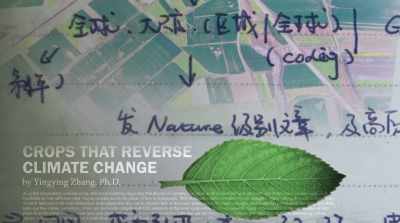"The fifth year,
publish papers - Finding Yingying