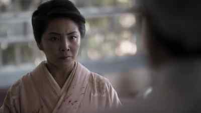 The final bullet
fragments were removed, - The Man in the High Castle