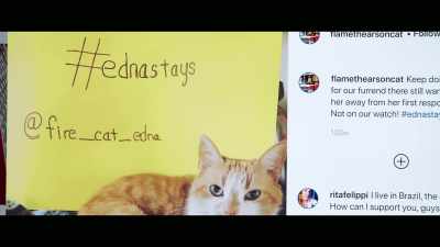 The fire chief got
15,000 emails that day. - Cat Daddies