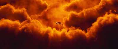 The fire of hate and rage
does not burn here. - Mavka: The Forest Song