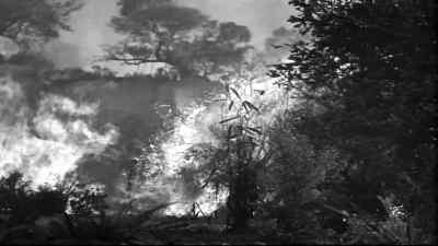 The fire will burn them to a crisp.
The wind's blowing in that direction - Tarzan's New York Adventure