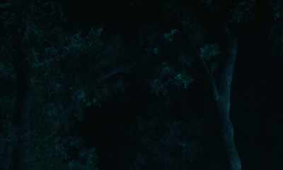 The first day, I was reborn. - Rumours