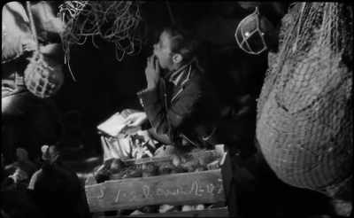 The first days were the most strenuous. - The Wild Boys