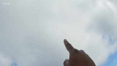 The first golden eagle
has been spotted, - Wild Isles