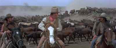 The first good grass
you come to, give 'em a rest. - The Undefeated