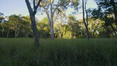 The first hurdle was that Cairns
was built on a challenging terrain. - Secrets of the Railways