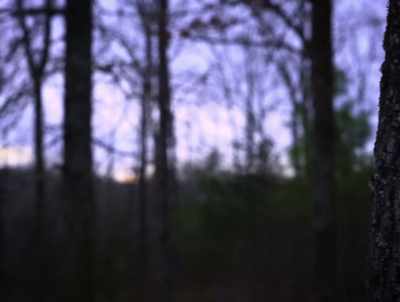 The first night we came in, - American Werewolves