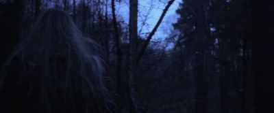 The first night I slept below a bridge. - Misha and the Wolves