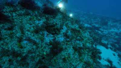 The first site we identified,
they found this debris field. - Atlantis Rising