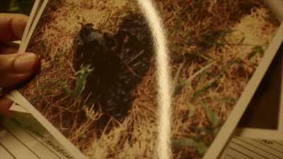 The first step of many steps
in the process is to go
back and identify - Homicide Hunter: Devil in the Mountains