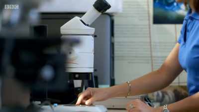 The first step is to check
what elements are present. - Secrets of the Museum
