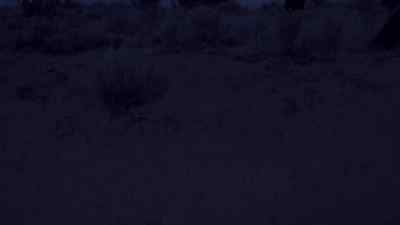 The first thing I do
when I get back to Earth - Roswell, New Mexico
