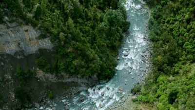 The first would be discovered
in an unassuming stream bed - Modern Dinosaurs