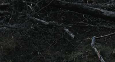 The first young man probably
jumped off the tractor, to the back, - Afire