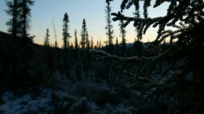 The fish here have
lost their appetite; - Life Below Zero: Next Generation