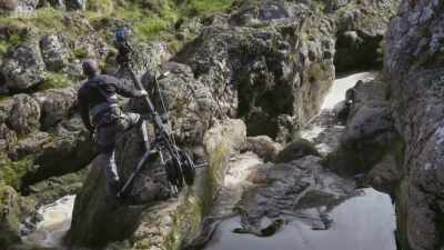 The fish still aren't jumping
at the moment, - Wild Isles