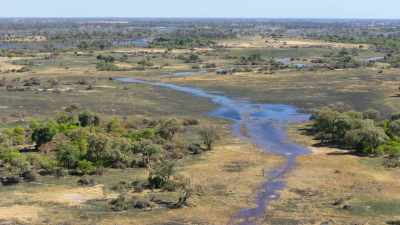 The flood in the Okavango Delta - In the Footsteps of Elephant