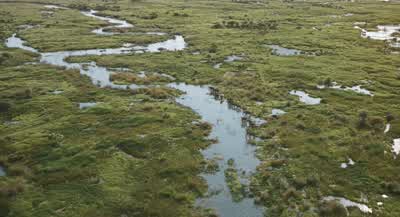 The floodwaters joined a distant river, carried Mufasa far from his mother and father. - Mufasa: The Lion King