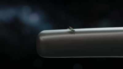 The fly strides along,
unconcernedly, - Cosmos: Possible Worlds
