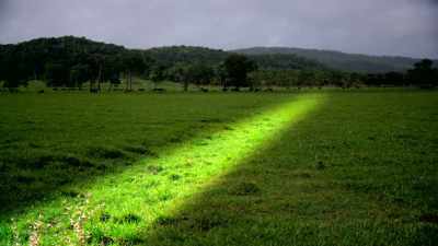 The food
produced in these fields - Lost Treasures of the Maya