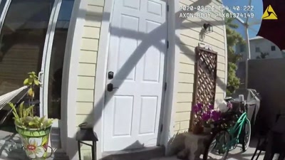 The footage stored in the cloud - Killers: Caught on Camera