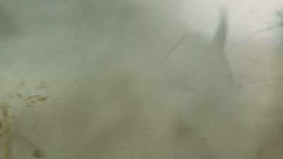 The forces involved here
are less visible than gunfire, - Exterminate All the Brutes