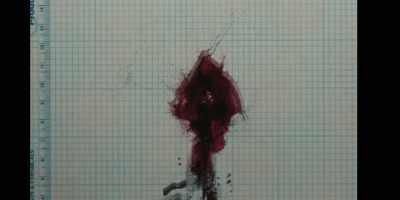 The forensic testing
of blood spatter - Low Country: The Murdaugh Dynasty